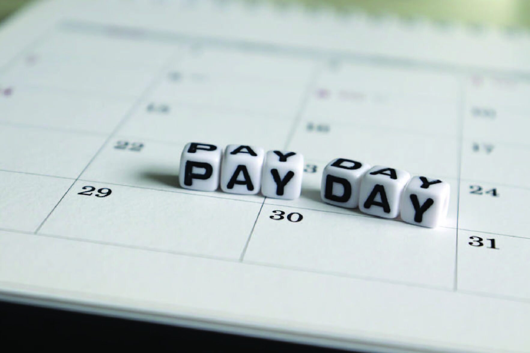 Earn secondary income with a Garage Suite in Calgary